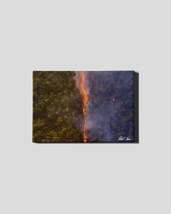 Bushfire 33GL Small Canvas