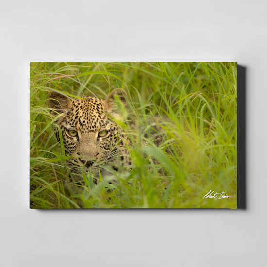 Leopard Grass 49GL Large Canvas