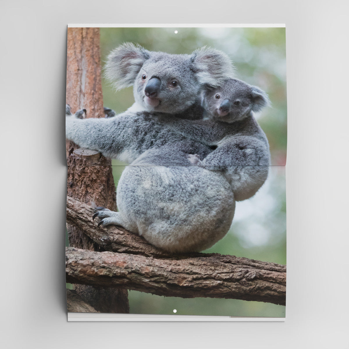 2027 Robert Irwin Photography Wall Calendar