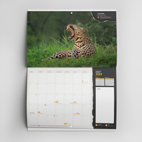 2027 Robert Irwin Photography Wall Calendar