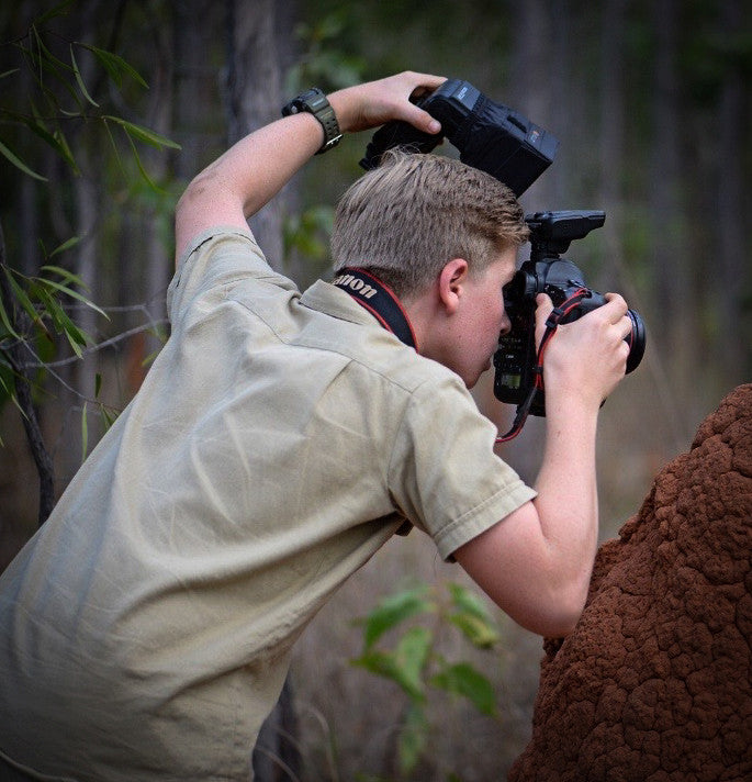 Robert Irwin Small Canvas Stars Brigalow 30x45cm