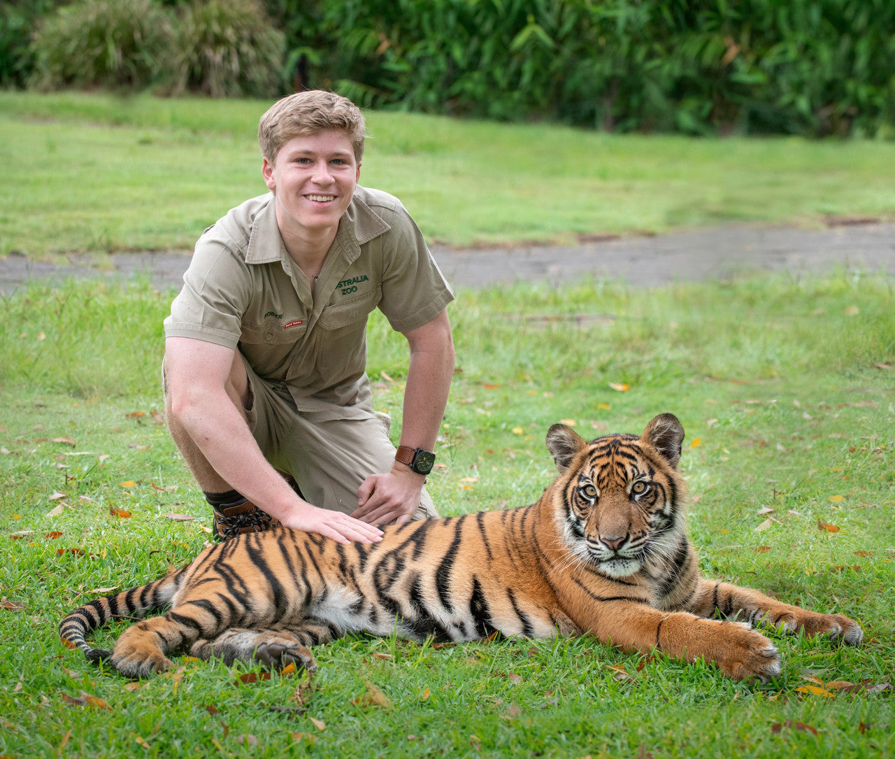 Robert Irwin Small Canvas - Tiger Love