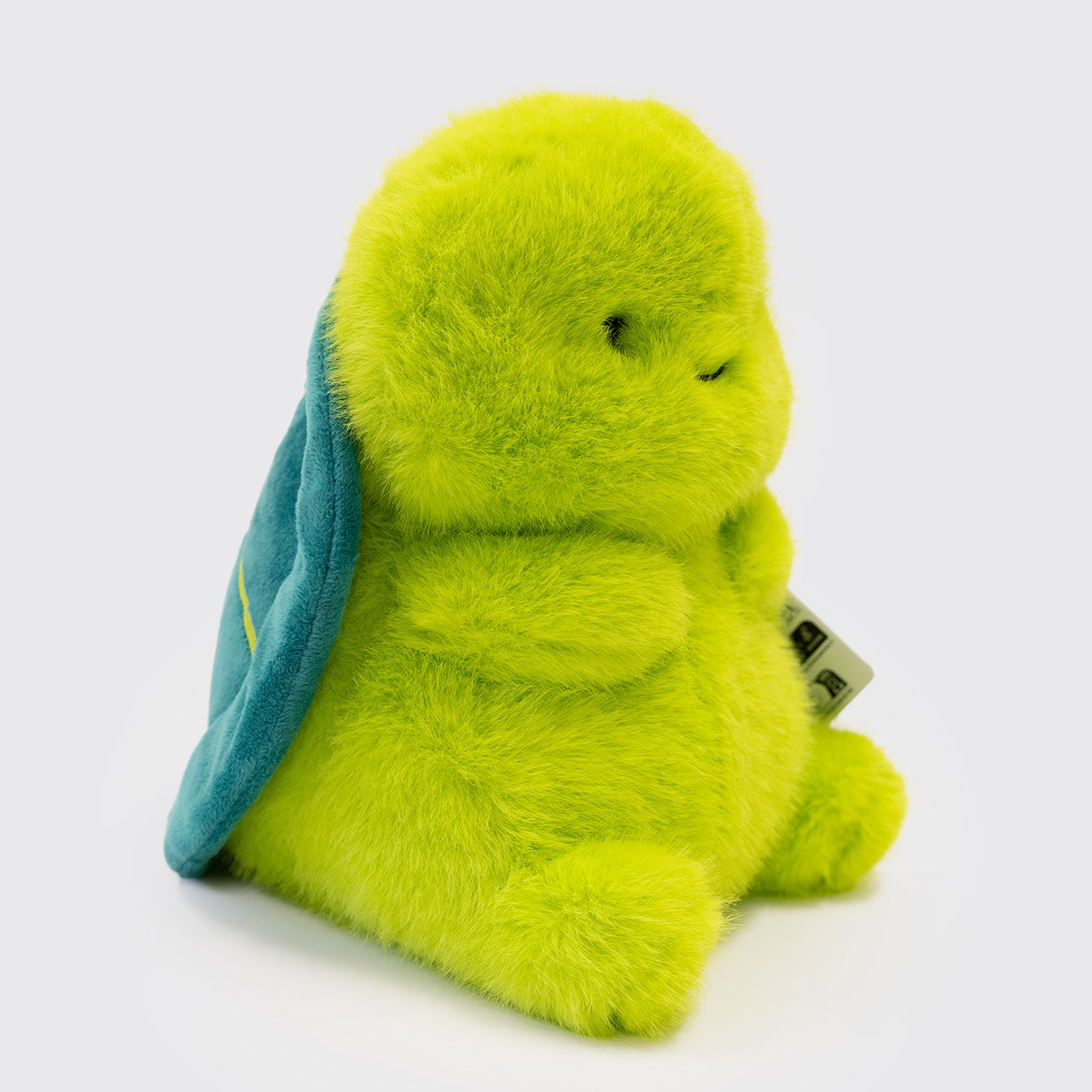 Tummykins Turtle