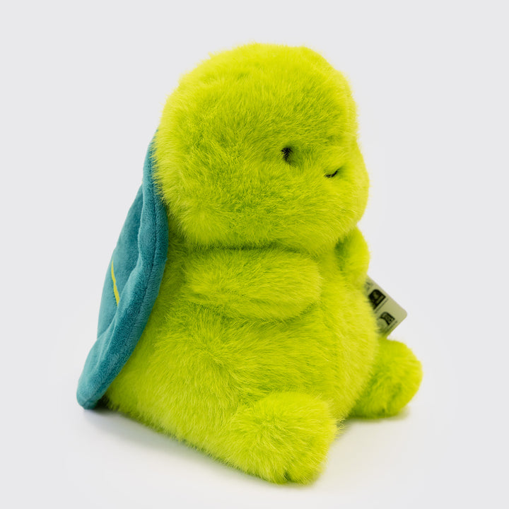 Tummykins Turtle