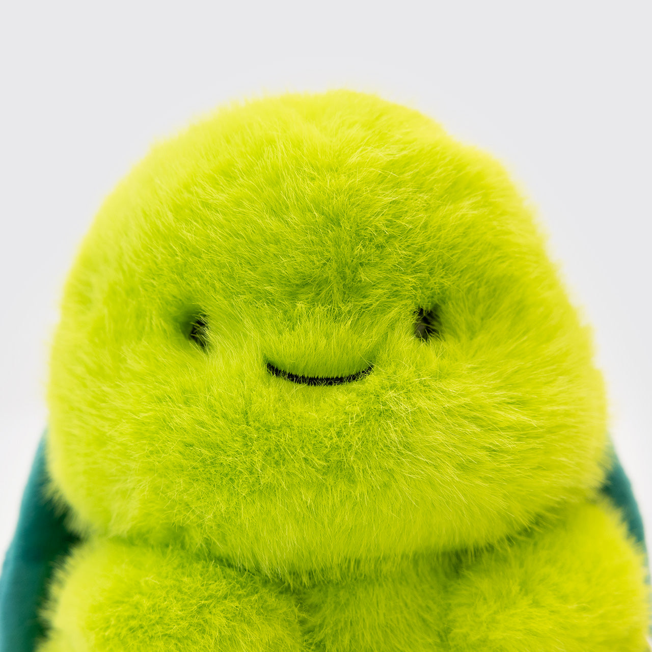 Tummykins Turtle
