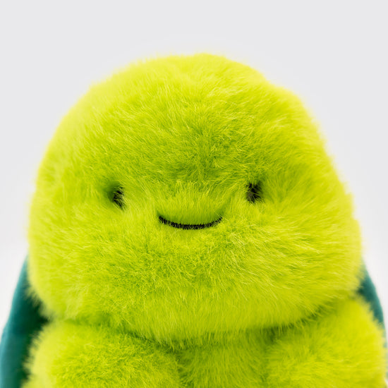 Tummykins Turtle