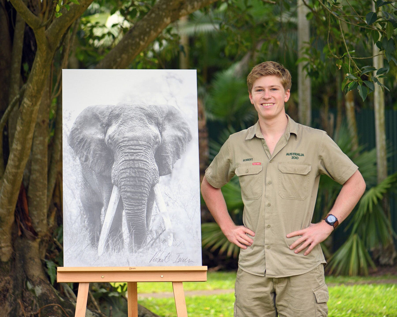 Robert Irwin Large Canvas - Big Tusker Elephant