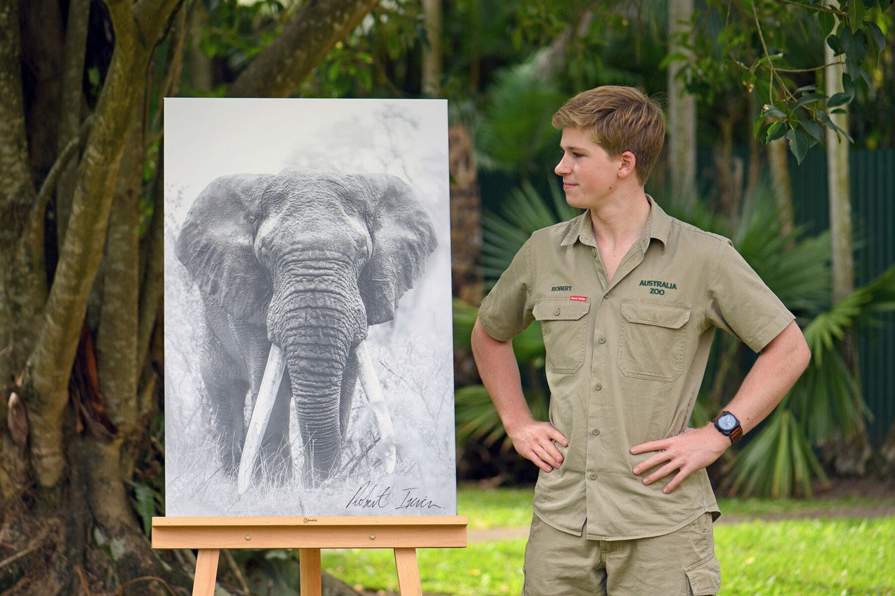 Robert Irwin Large Canvas - Big Tusker Elephant