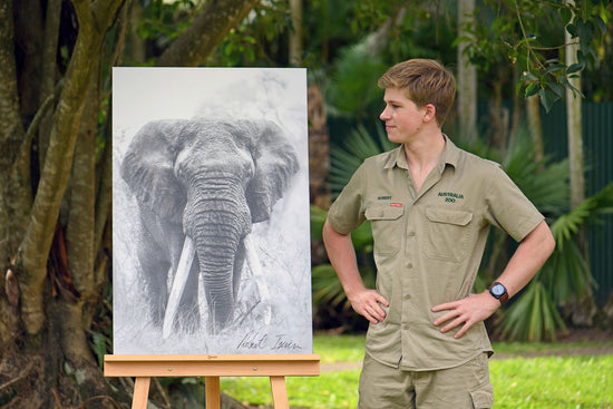 Robert Irwin Large Canvas - Big Tusker Elephant